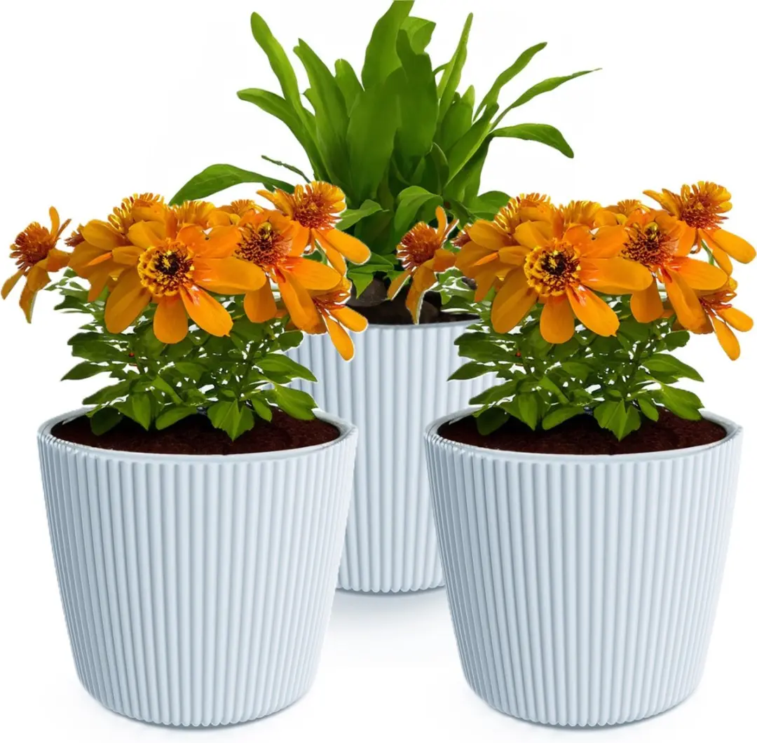 Prosperplast Plantenpot/bloempot Buckingham
