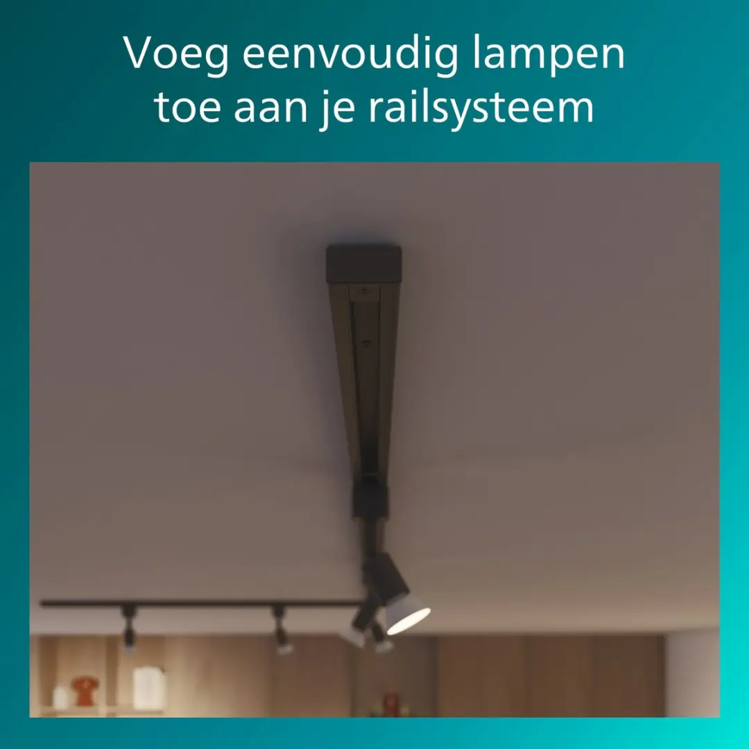 Philips EasyLink Afsluitstuk 2 Stuks - Zwart - afbeelding 2 van 4