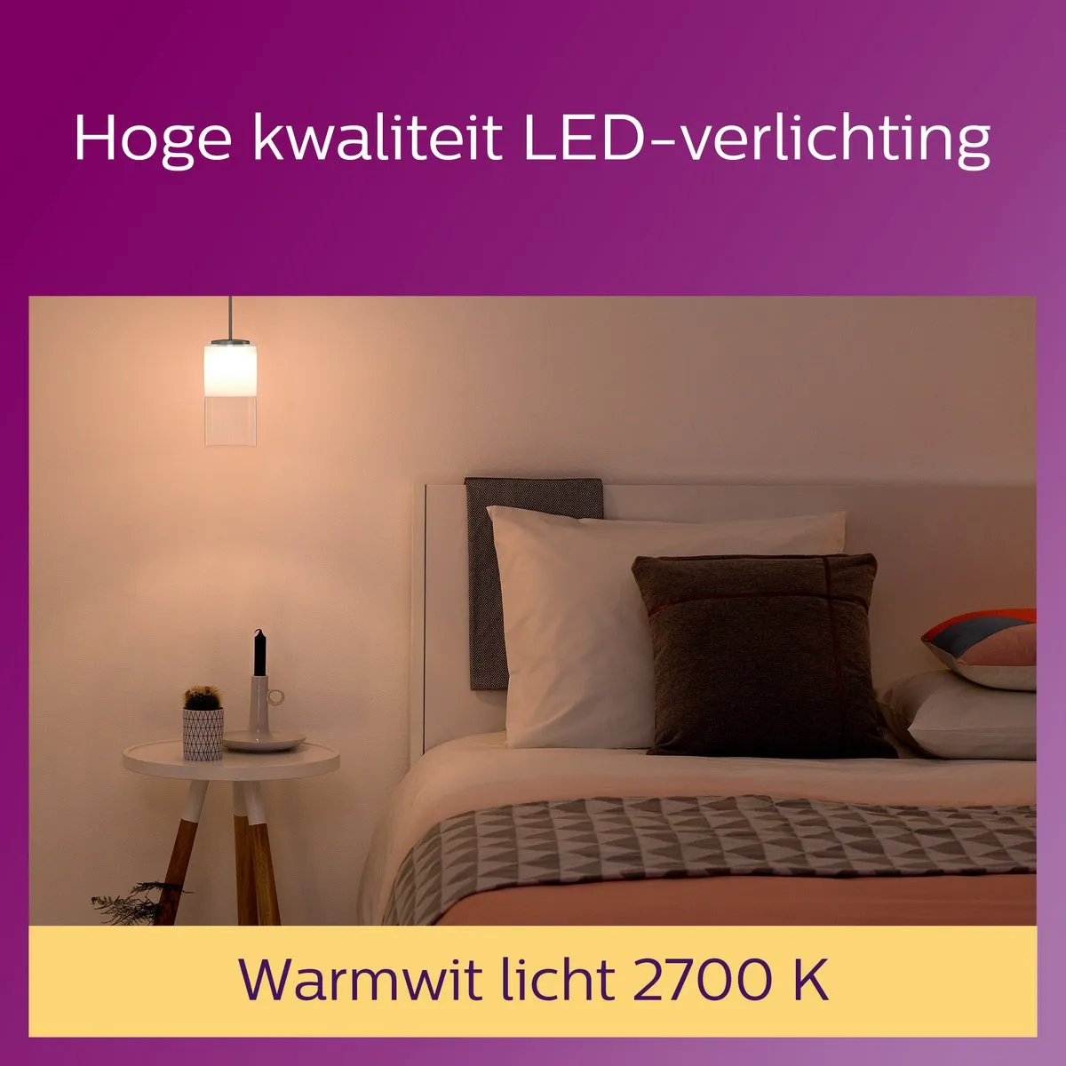 Philips LED T25 Mat Koelkastlampje 3.2W E14 Warmwit