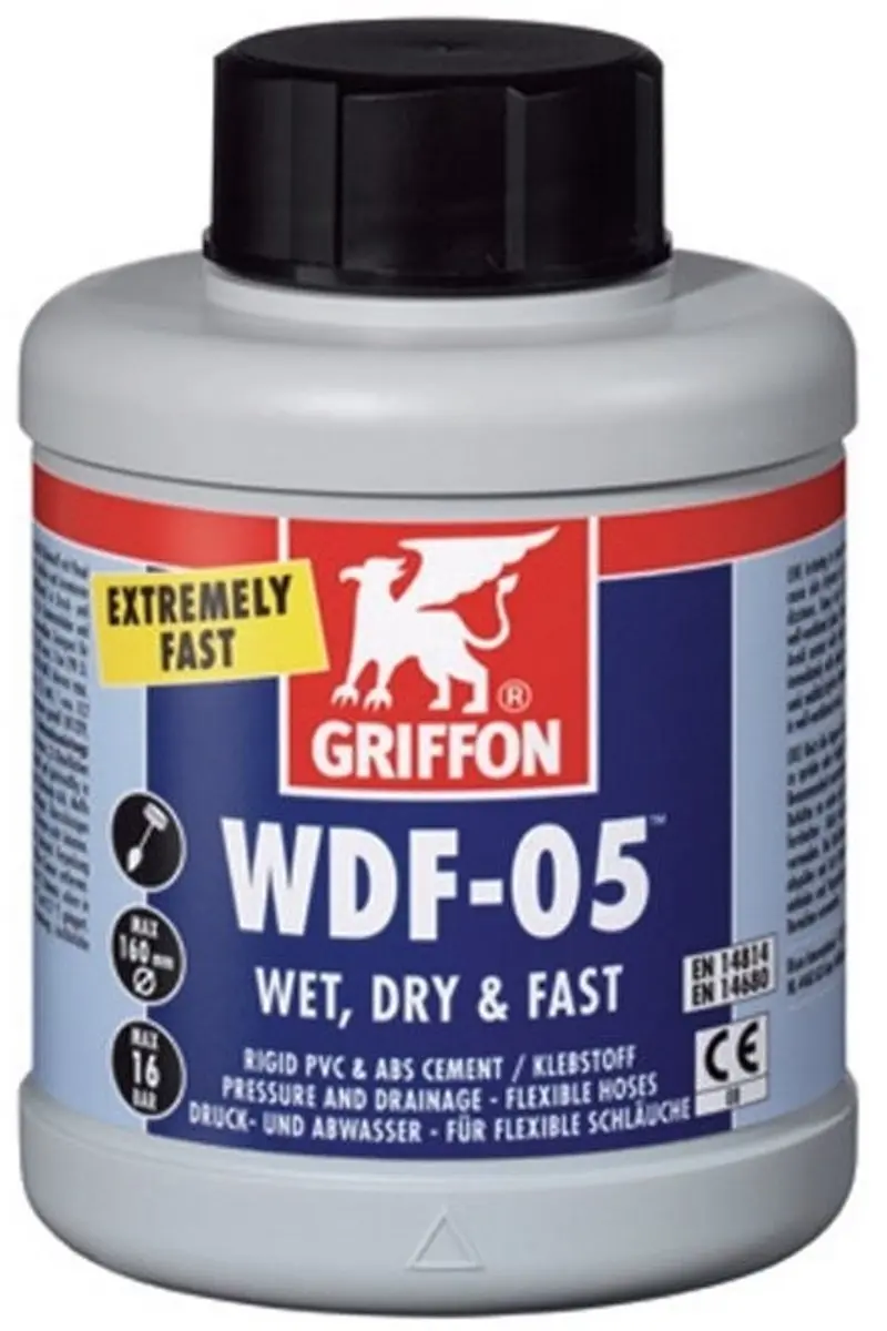 Griffon