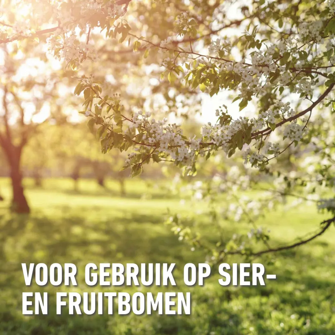 Compo Wondafdekmiddel Spray 300ml - afbeelding 3 van 5