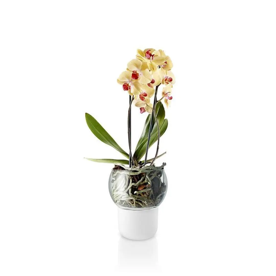 Eva Solo Orchid Bloempot 15cm - Transparant - afbeelding 2 van 5