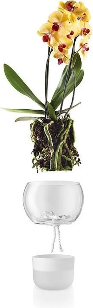 Eva Solo Orchid Bloempot 15cm - Transparant - afbeelding 3 van 5