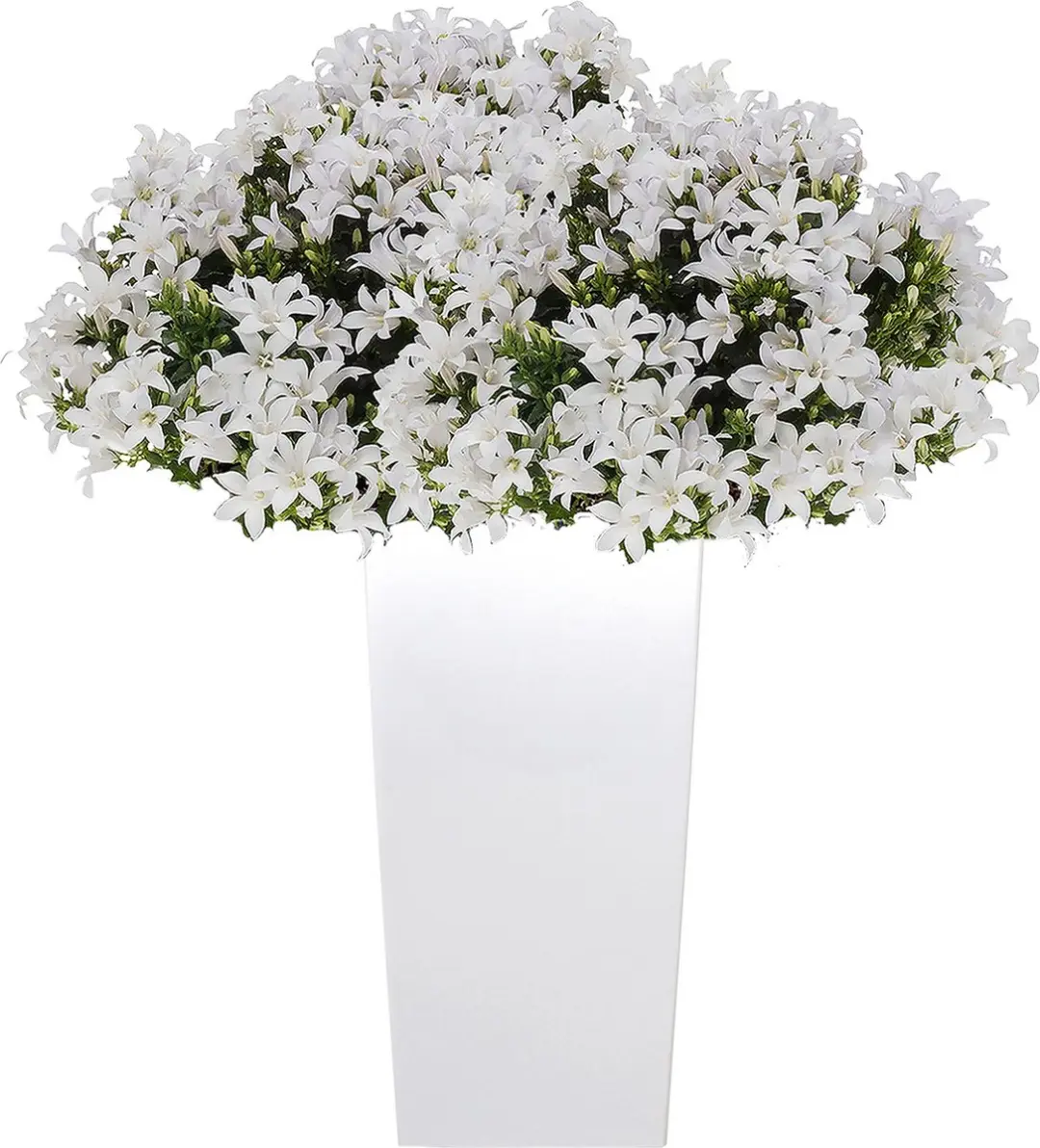 Prosperplast Urbi Square Plantenbak Wit 61cm - afbeelding 3 van 6