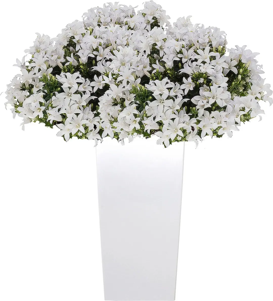 Prosperplast Urbi Square Plantenbak 29,5x55cm Wit - afbeelding 2 van 6