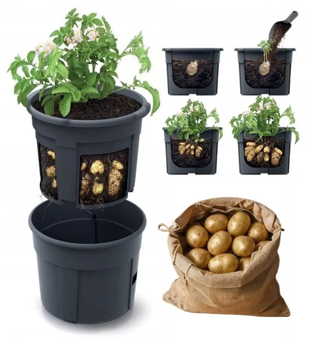 Prosperplast Aardappelpot 28L Aardappelteler IZIE400-S433