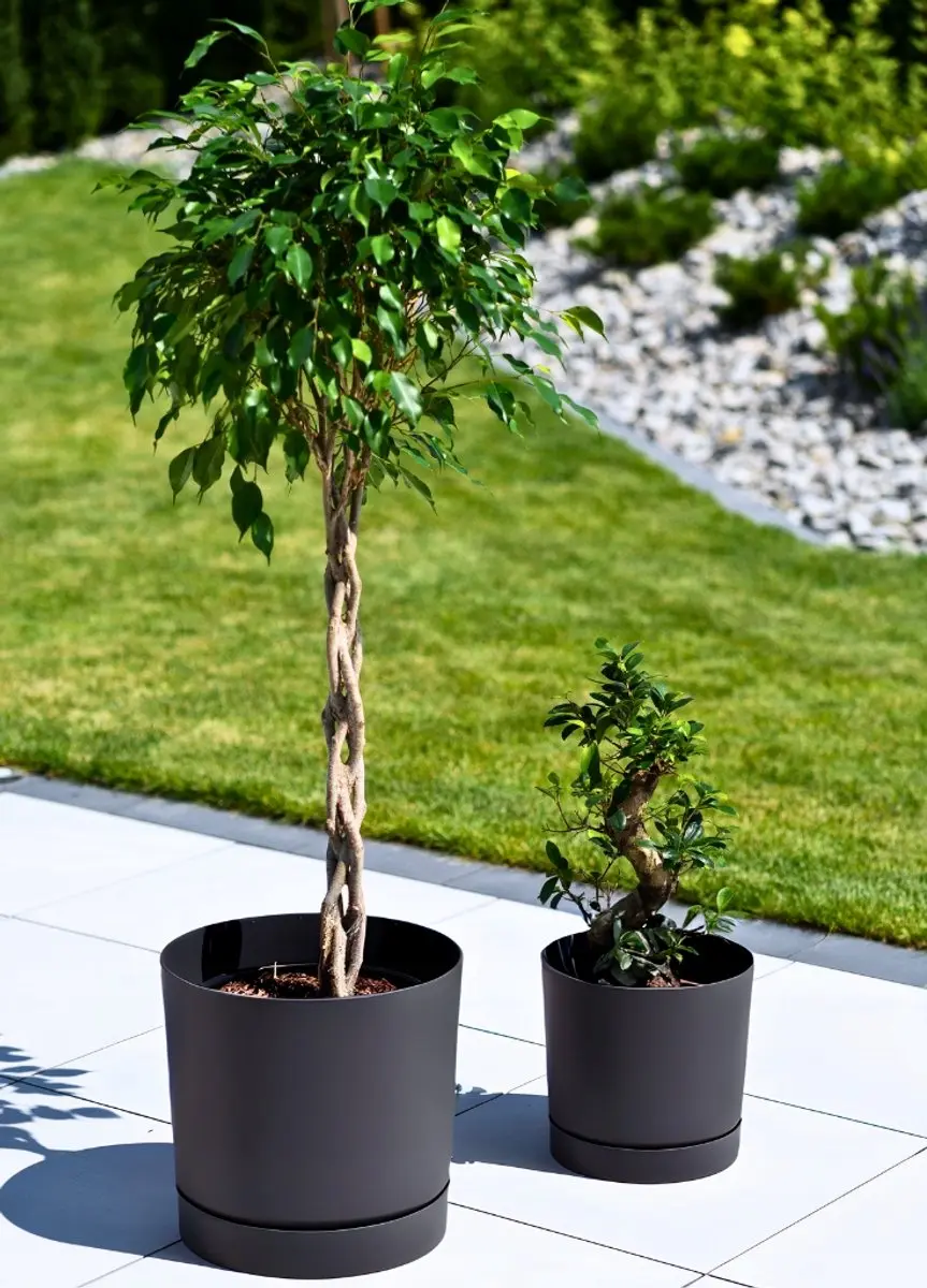 Prosperplast Tubo P Bloempot met Schotel - Antraciet 39cm - afbeelding 5 van 5
