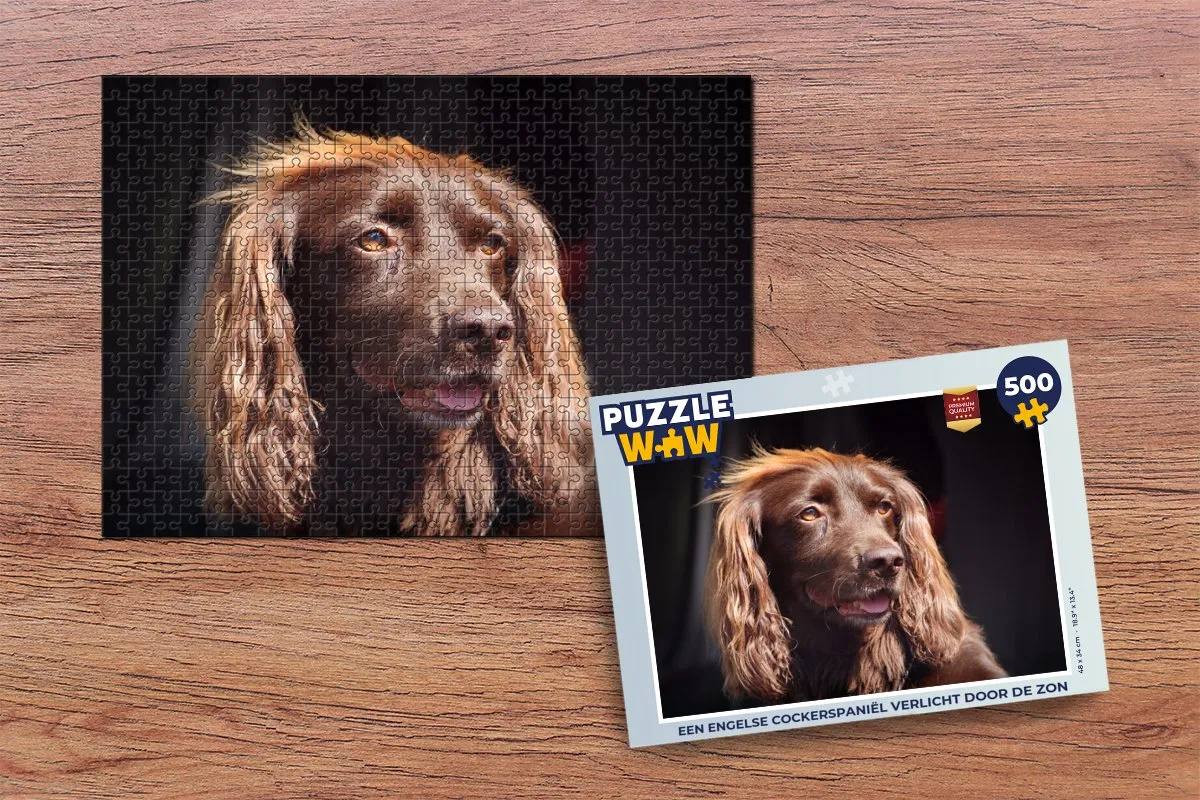 PuzzleWow Legpuzzel Een Engelse Cockerspaniëel 500 Stuks - Multicolor