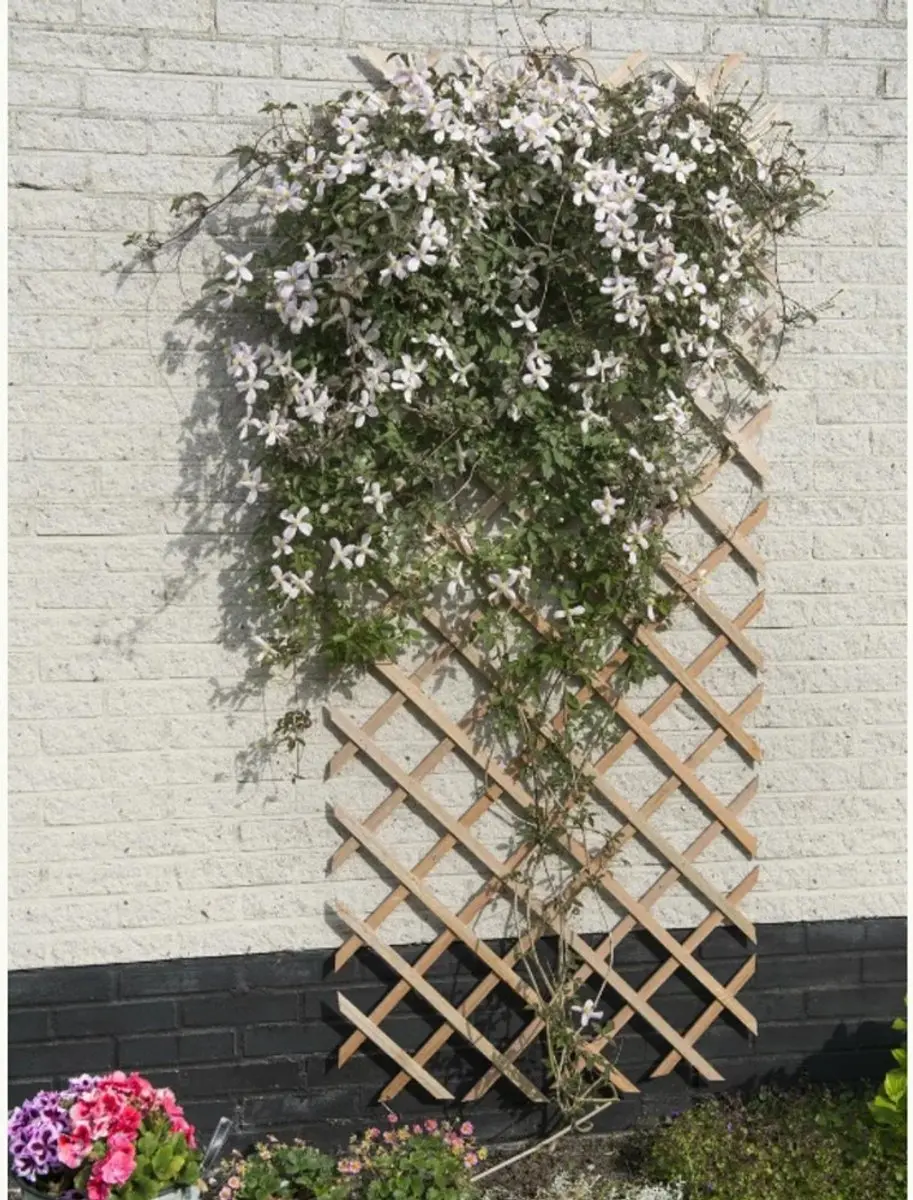 Nature Houten Klimrek 150x50cm - Natuurlijk - afbeelding 5 van 6