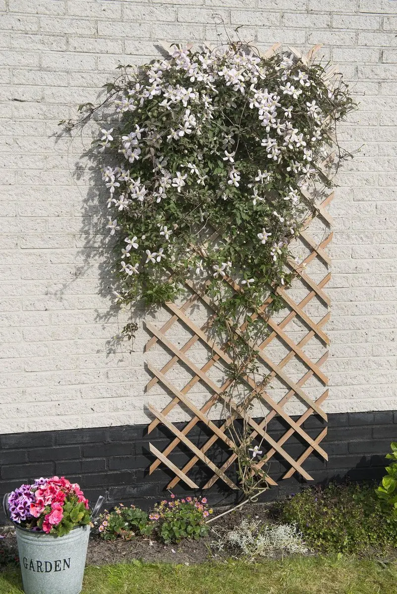 Nature Houten Klimrek 150x50cm - Natuurlijk - afbeelding 6 van 6