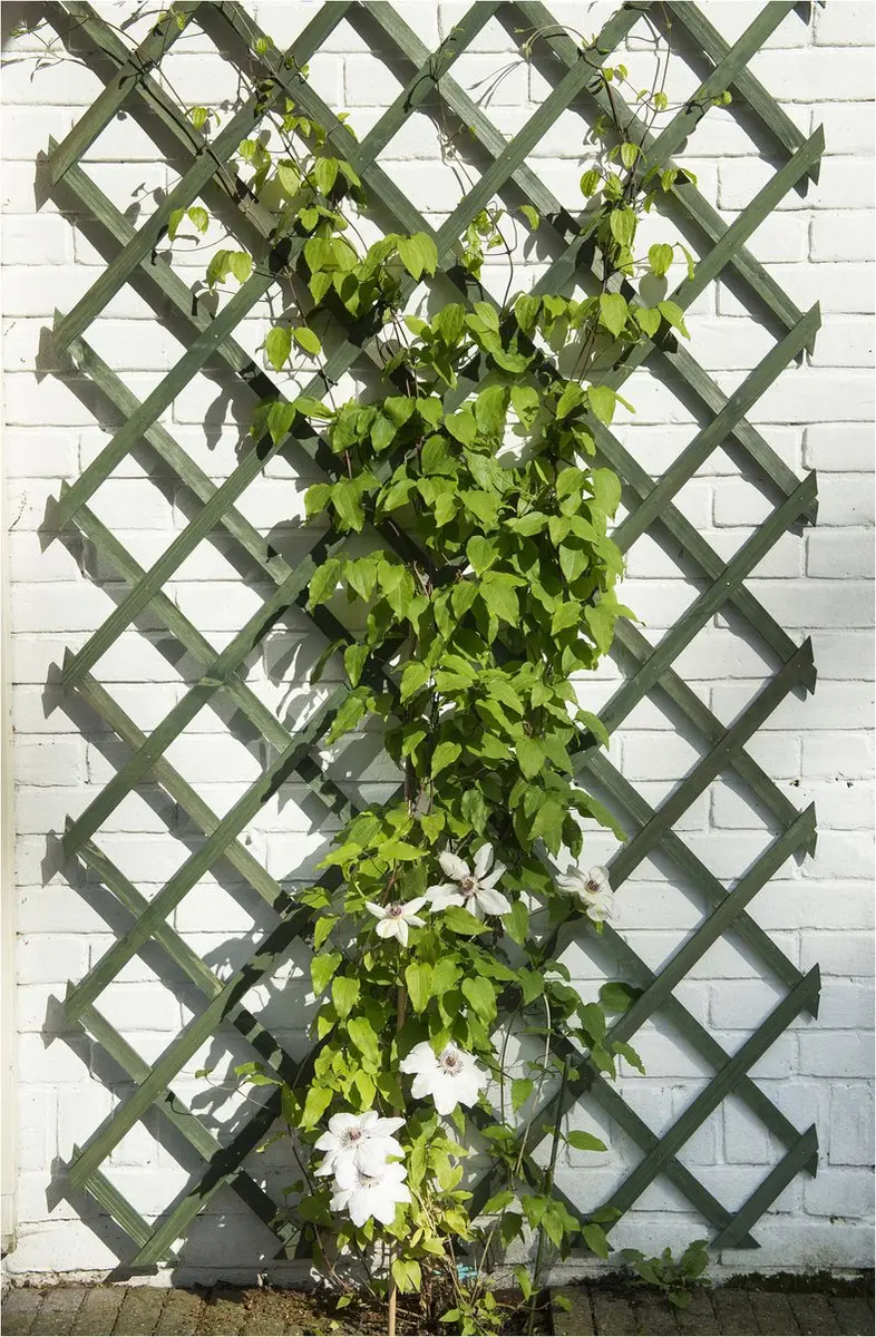 Nature Houten Klimrek Groen 100x200cm FSC - afbeelding 5 van 6