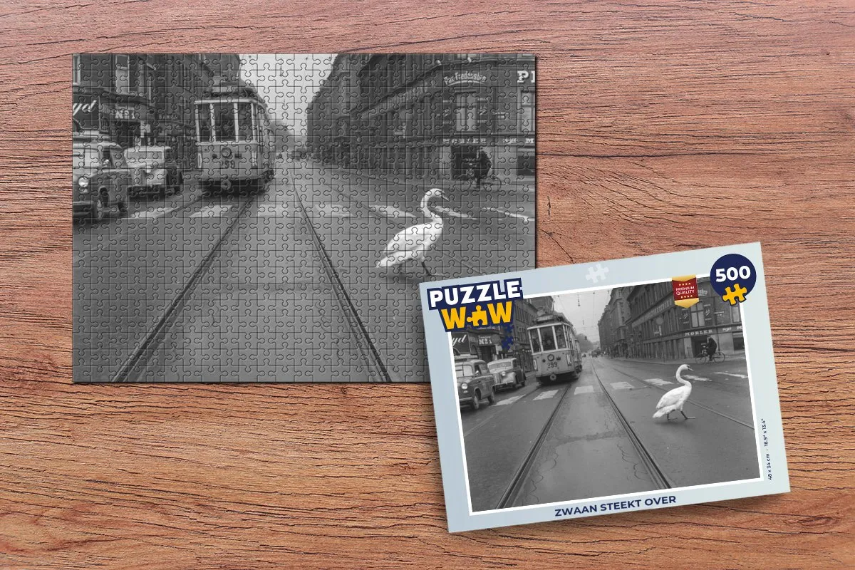 PuzzleWow Legpuzzel Zwaan steekt over 500 Stuks - Multicolor