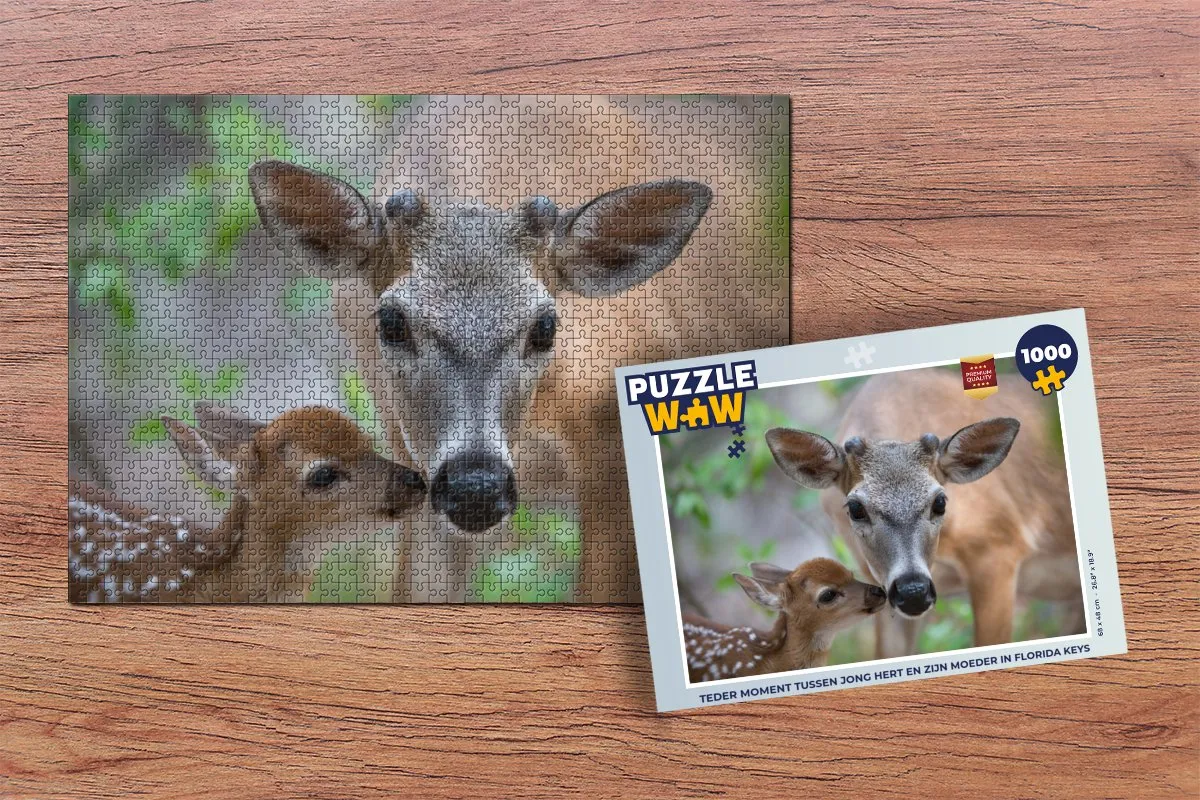 PuzzleWow Legpuzzel 1000 Stuks - Teder Moment Florida Keys - Multicolor