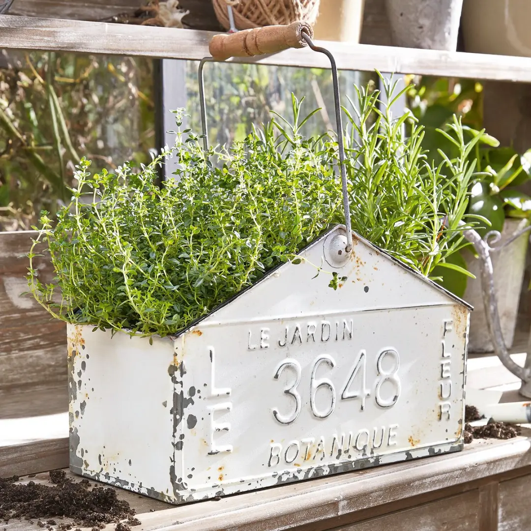 Loberon Mand Botanique - Antiekwit - afbeelding 4 van 5