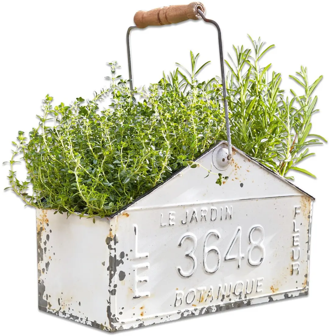 Loberon Mand Botanique