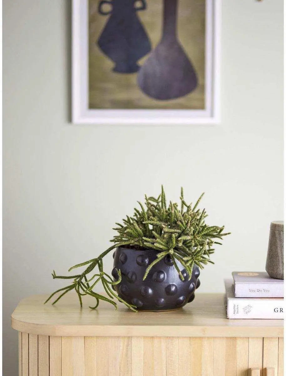 Bloomingville Parvin Bloempot - 11cm - Zwart - afbeelding 2 van 2