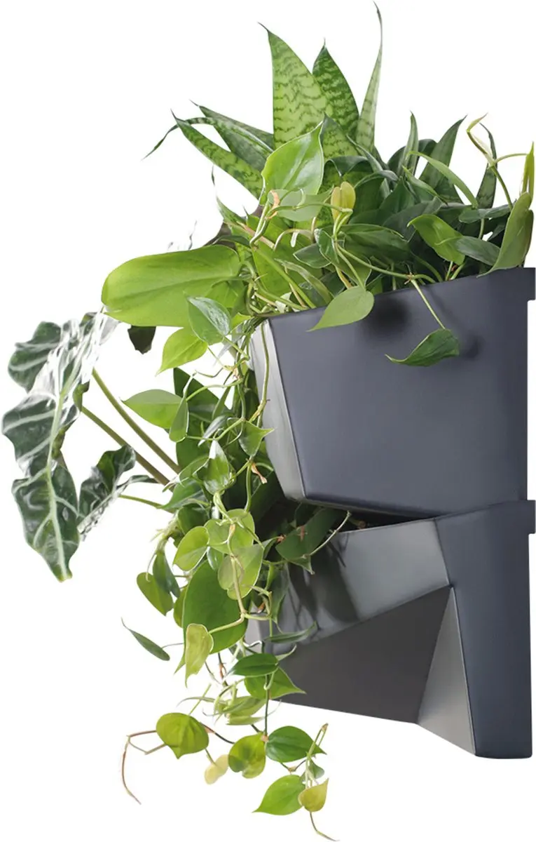 Prosperplast Verticale Tuin Hangende Plantenbakken - 2 Stuks - afbeelding 4 van 6