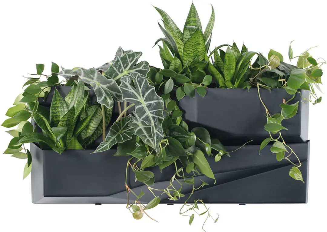 Prosperplast Verticale Tuin Hangende Plantenbakken - 2 Stuks - afbeelding 3 van 6