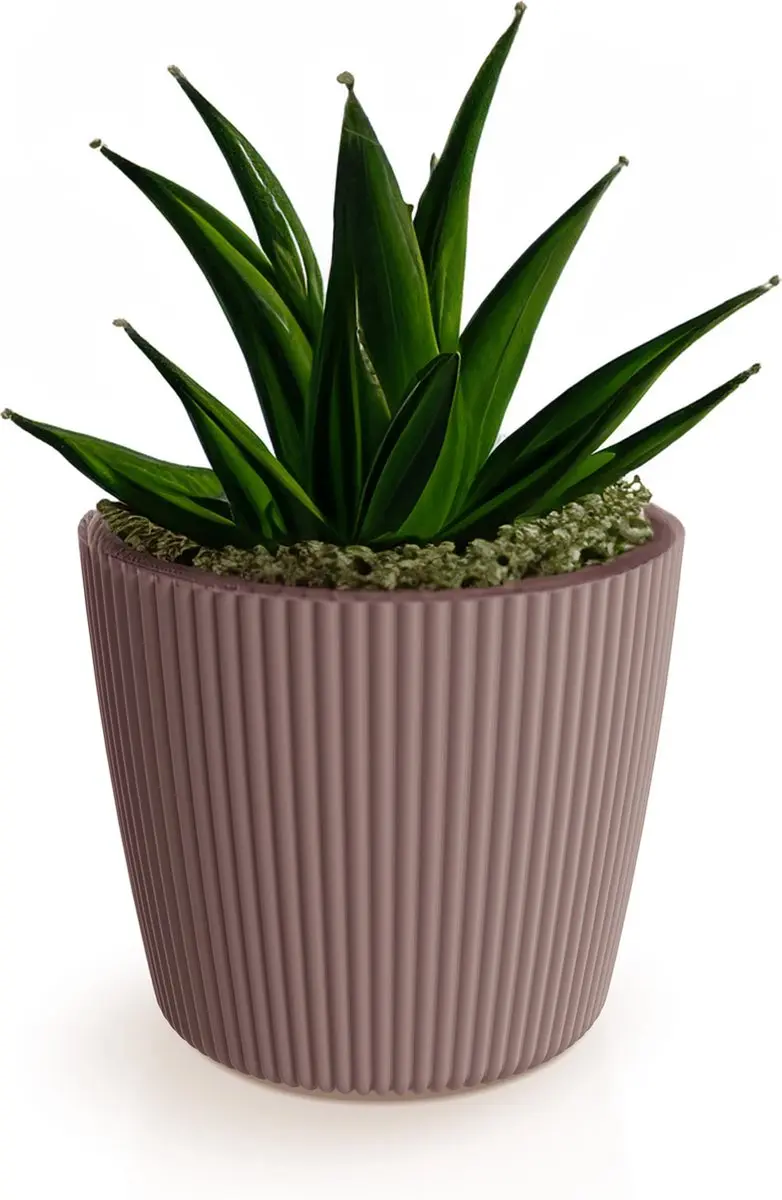 Prosperplast Plantenpot/bloempot Buckingham