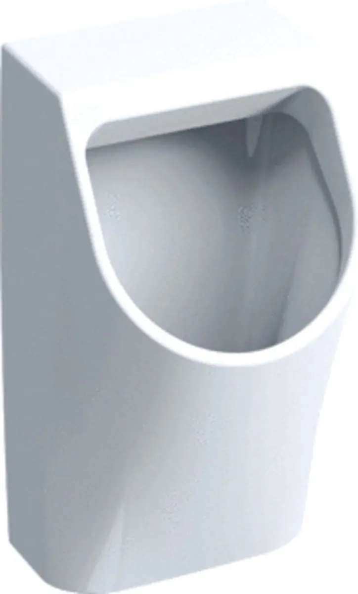 Geberit 300 Urinoir 32.5x30cm