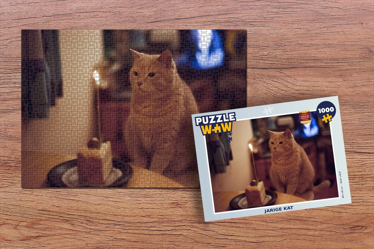 PuzzleWow Kat Verjaardag Legpuzzel 1000 Stuks - Multicolor
