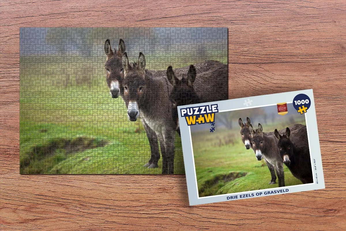 PuzzleWow Legpuzzel Drie Ezels 1000 Stuks - Multicolor