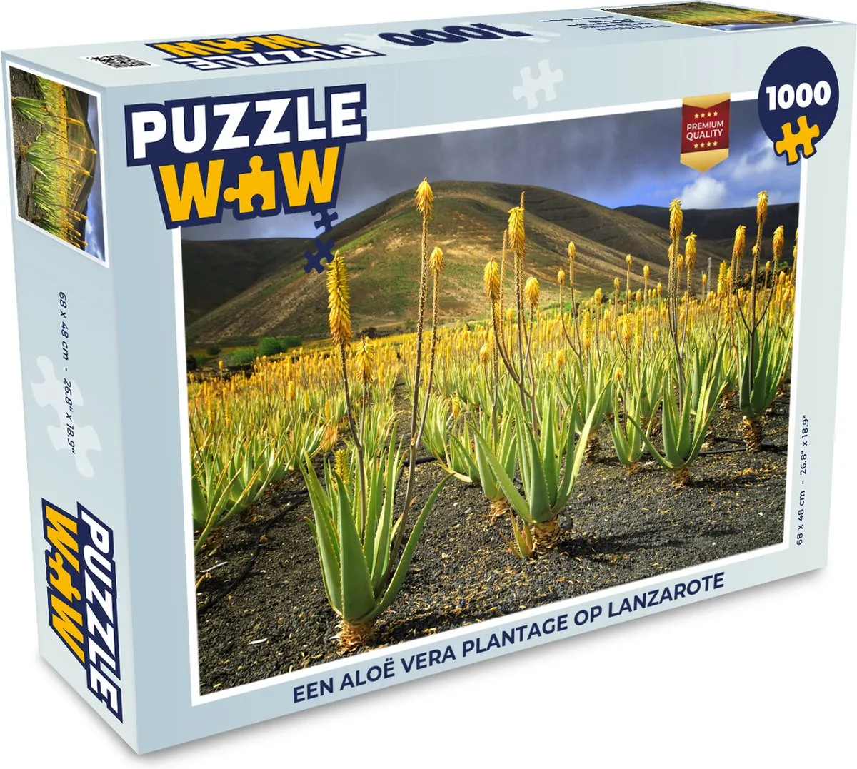 PuzzleWow Legpuzzel Aloë Vera Plantage Lanzarote 1000 Stuks - Multicolor
