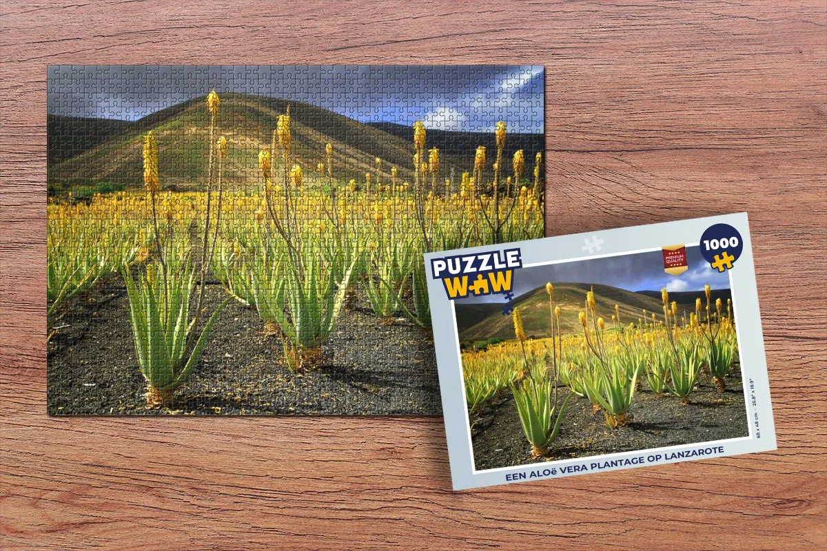 PuzzleWow Legpuzzel Aloë Vera Plantage Lanzarote 1000 Stuks - Multicolor