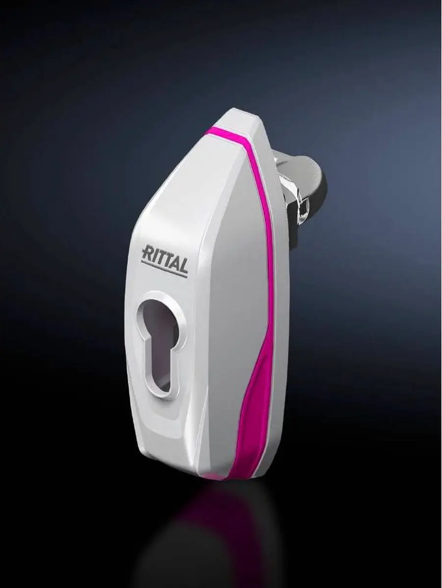 Rittal AX 2537.100 Knevelgreep Lichtgrijs - afbeelding 3 van 4