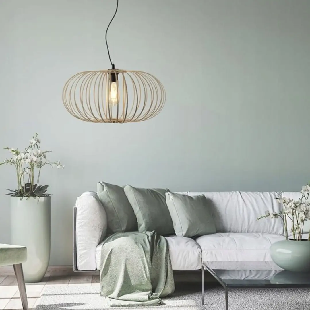 Paul Neuhaus RACOON Hanglamp E27 - 50cm - afbeelding 2 van 5