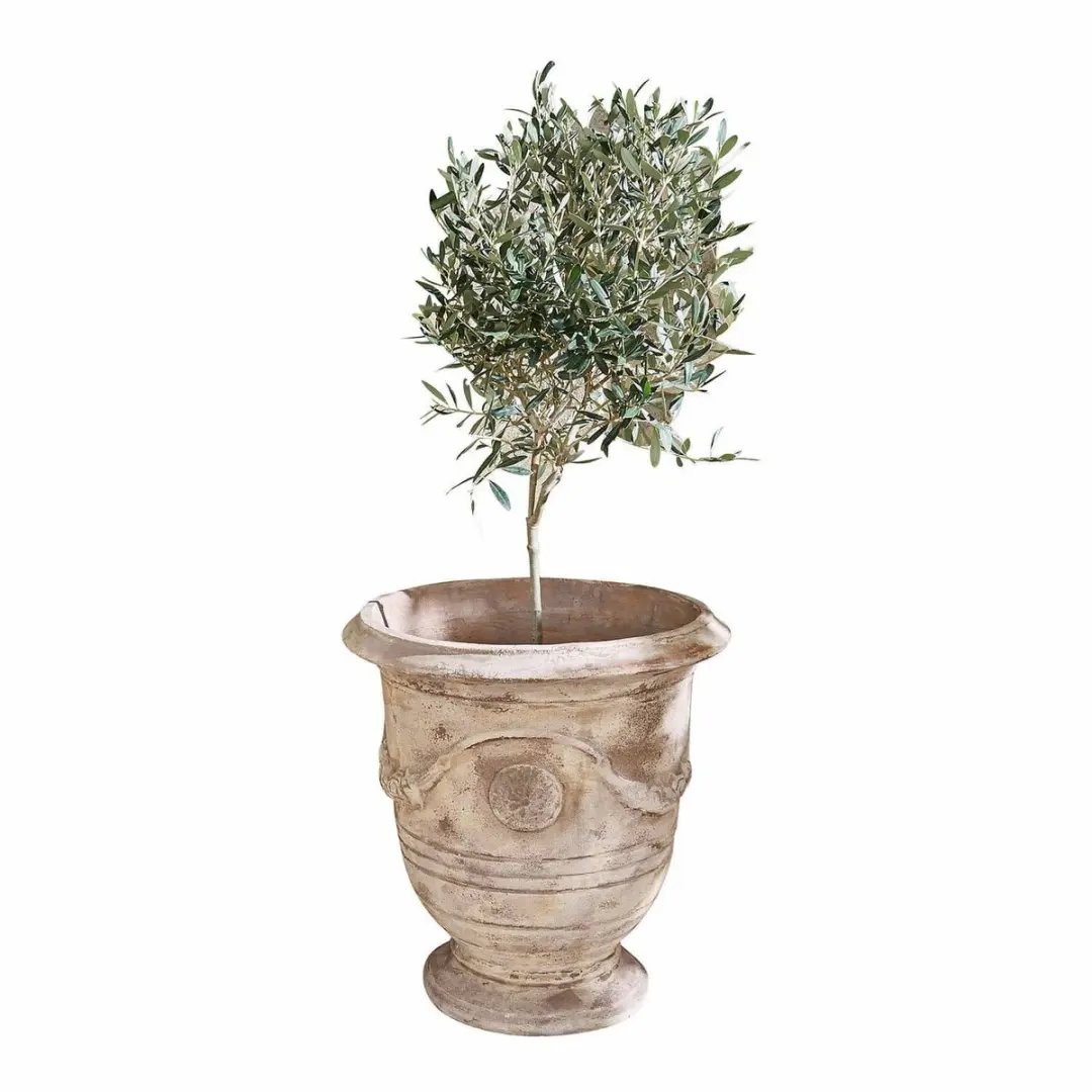 Loberon Garwood Sierpot