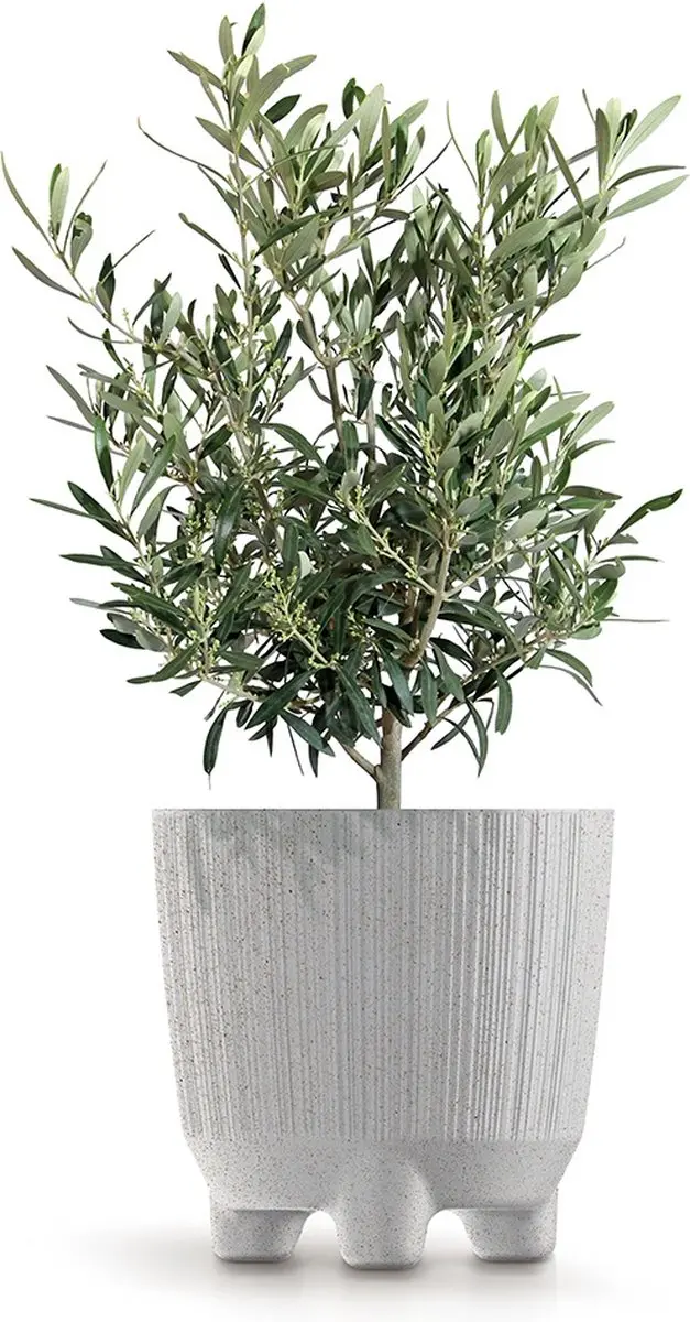 Prosperplast Ryfo N Eco Wood Bloempot 19,5cm - Wit - afbeelding 2 van 2