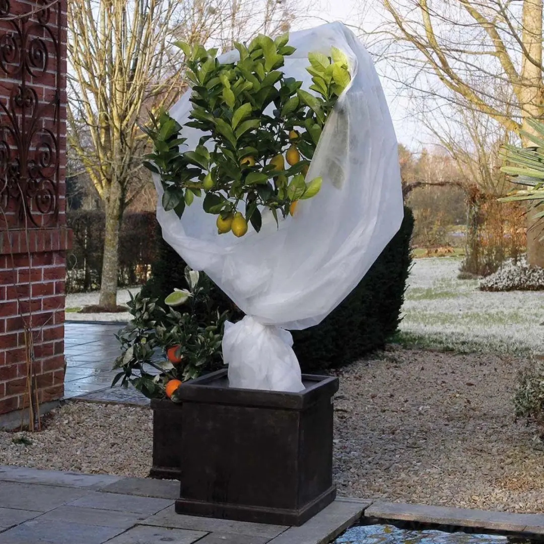 Nature Winterafdekvlies 2x10m Wit - afbeelding 3 van 6