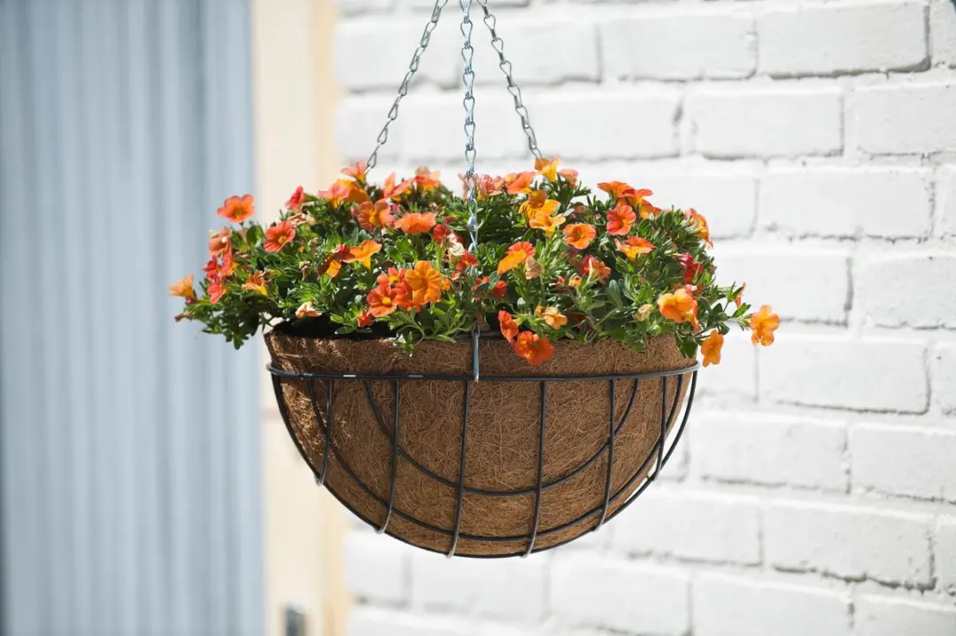 Nature Hanging Basket Groen Ø35cm - afbeelding 4 van 6