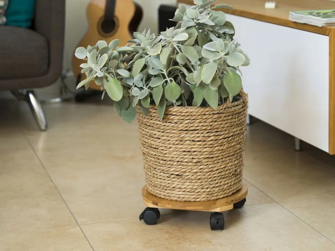 Nature Planttrolley WPC Bamboe Naturel Ø30cm - afbeelding 3 van 6