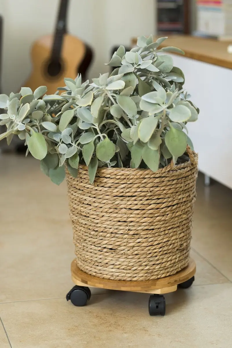 Nature Planttrolley WPC Bamboe Naturel Ø30cm - afbeelding 4 van 6