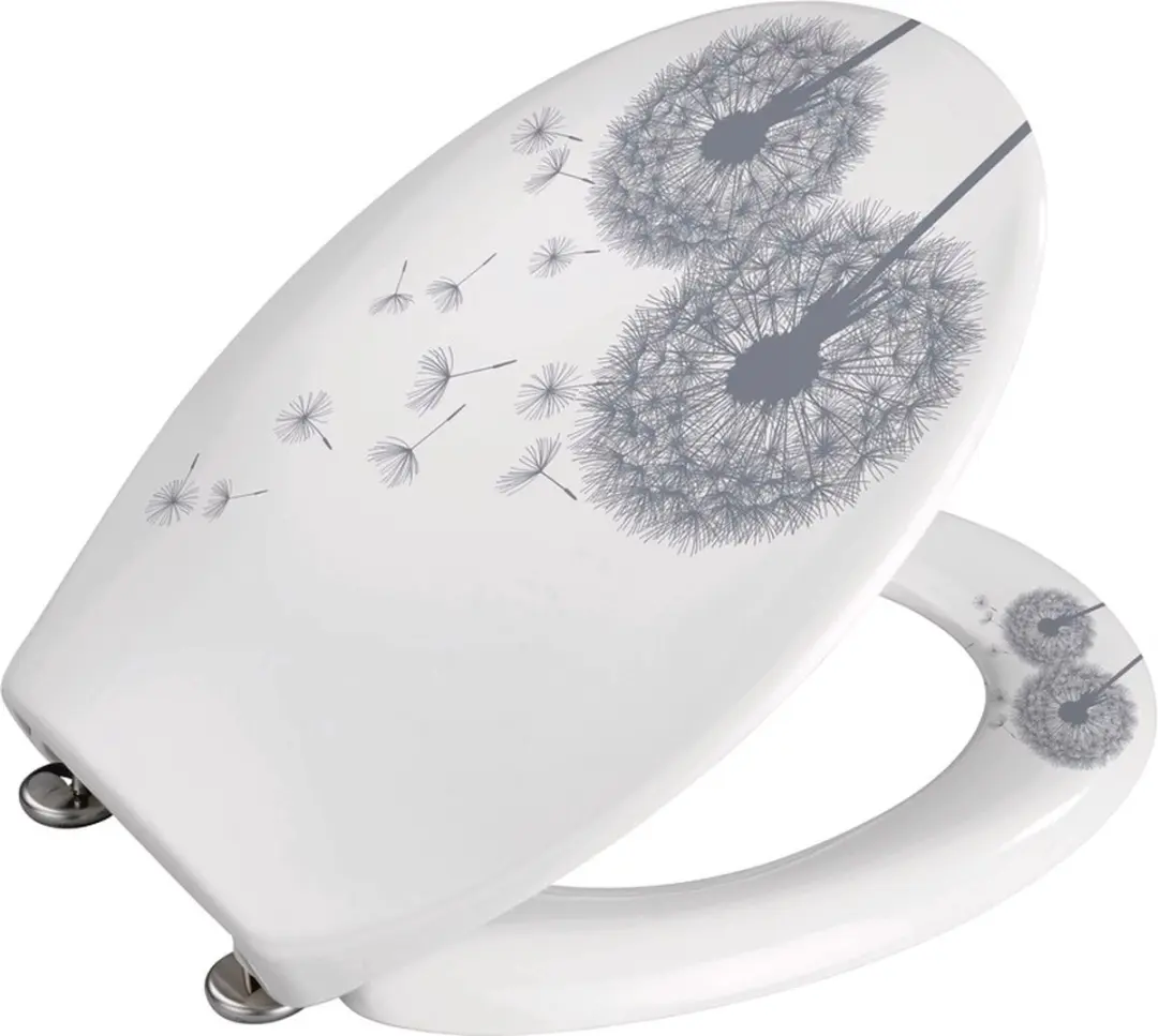 Wenko Astera WC-bril