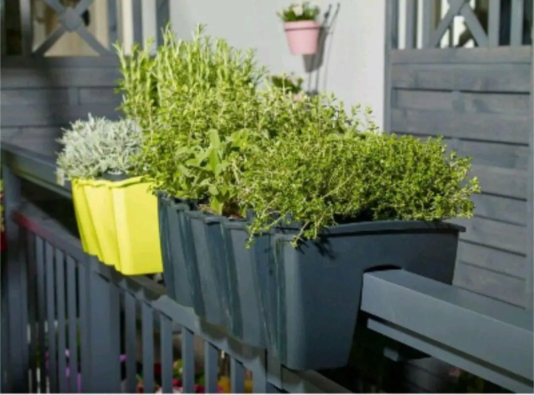 Prosperplast CROWN Plantenbak 58cm - Antraciet - afbeelding 6 van 6
