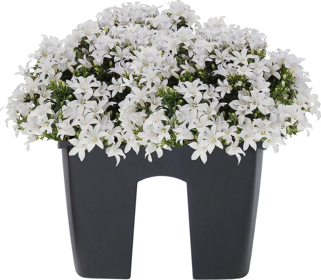 Prosperplast CROWN Plantenbak 58cm - Antraciet - afbeelding 2 van 6