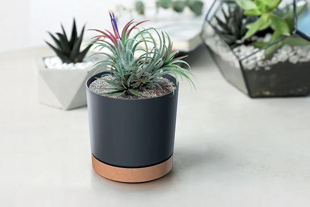 Prosperplast Tubo PM Bloempot Ø29cm - Dennengroen - afbeelding 2 van 2