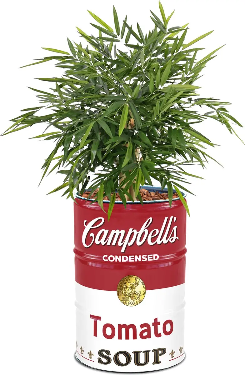 Barrelkings Campbell's Soup Plantenbak 65L - Ø57x87cm - afbeelding 5 van 6