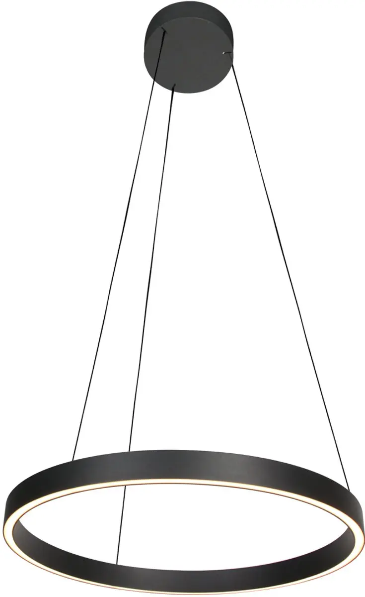 Steinhauer Mykty Hanglamp 4203ZW - Zwart Ø60cm - afbeelding 6 van 6