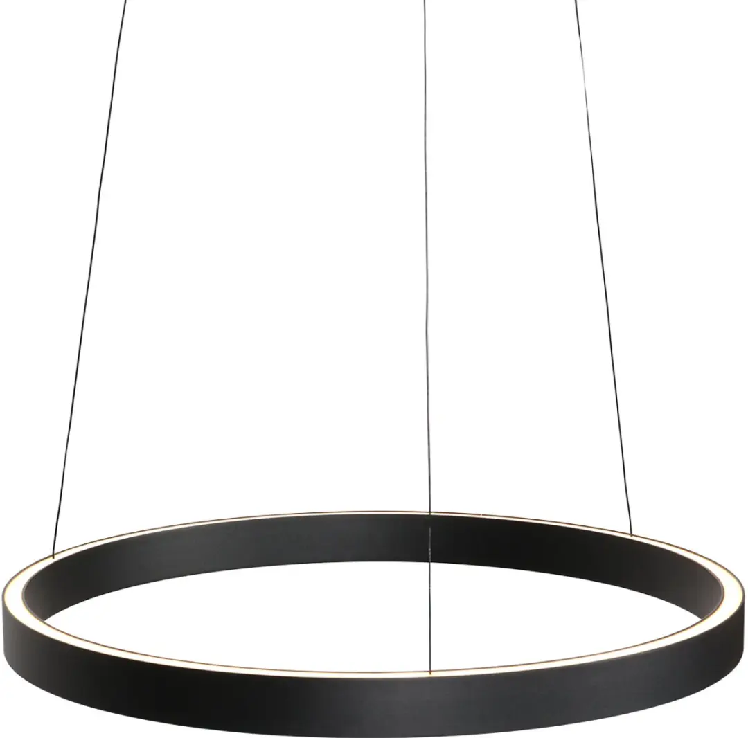 Steinhauer Mykty Hanglamp 4203ZW - Zwart Ø60cm - afbeelding 5 van 6