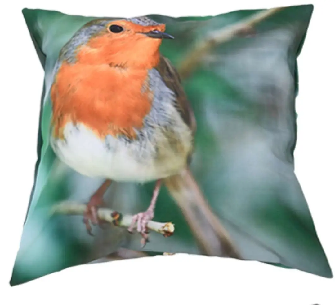 Esschert Design buitenkussen S roodborstmotief 40 x 40 cm polyester