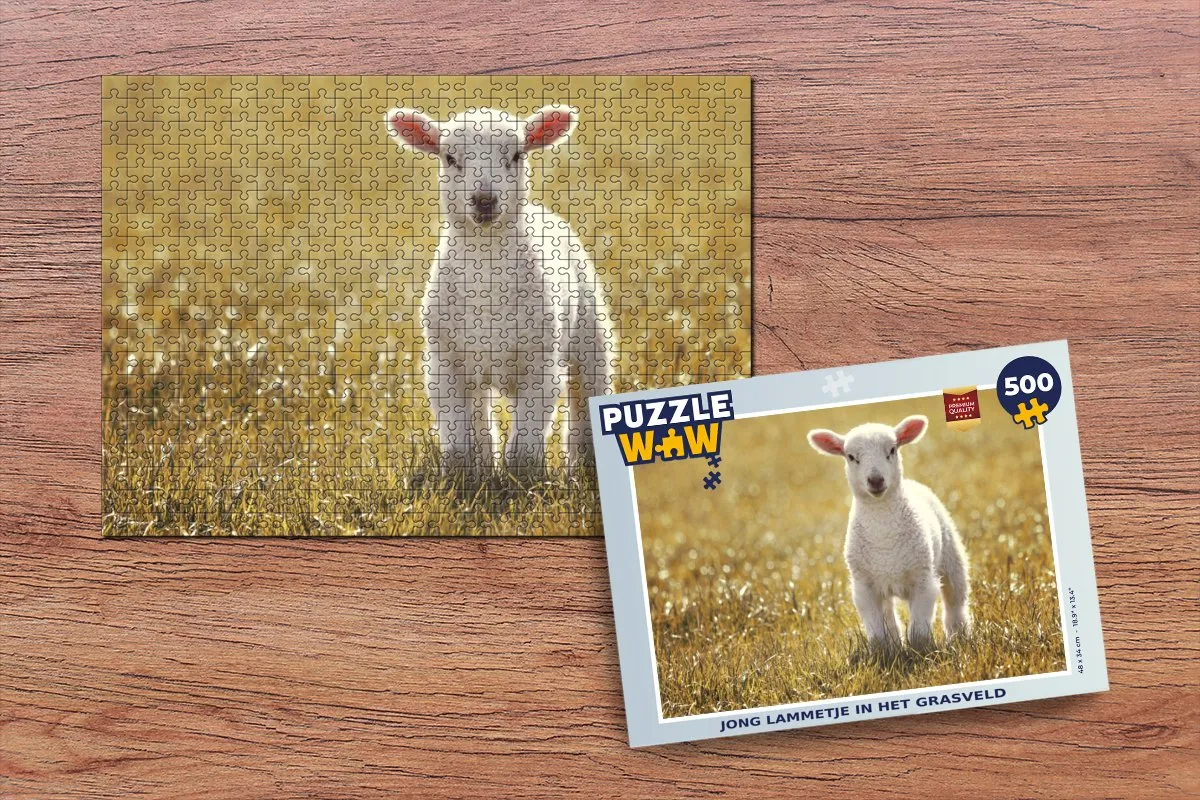 PuzzleWow Legpuzzel Schaap - Gras - Zon 500 Stuks - Multicolor
