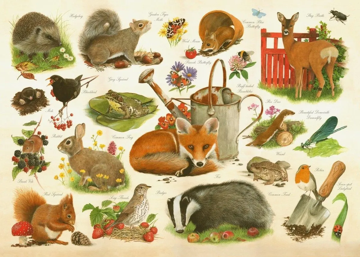House Of Puzzles Are You In My Garden Puzzel