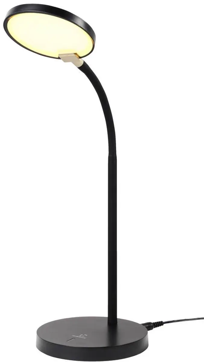 Renkforce RF-5734674 Bureaulamp 4.3W