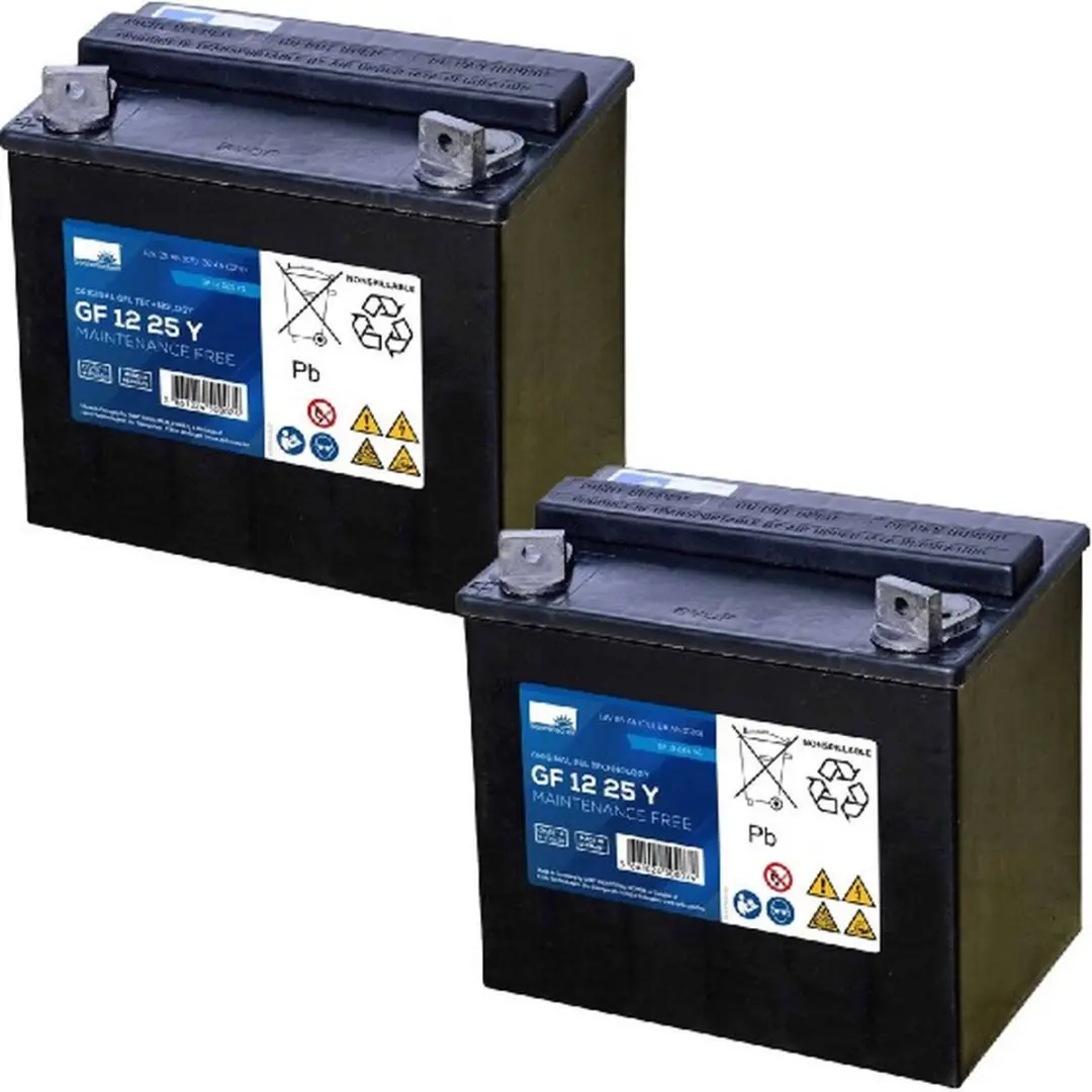 Exide Vervangende Accu Voor Ranger All Season Freedom, Safari Scooter 24V 2 X 12