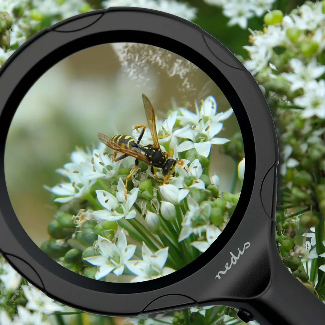 Nedis Handloep 4 Diopter - Zwart - afbeelding 2 van 6