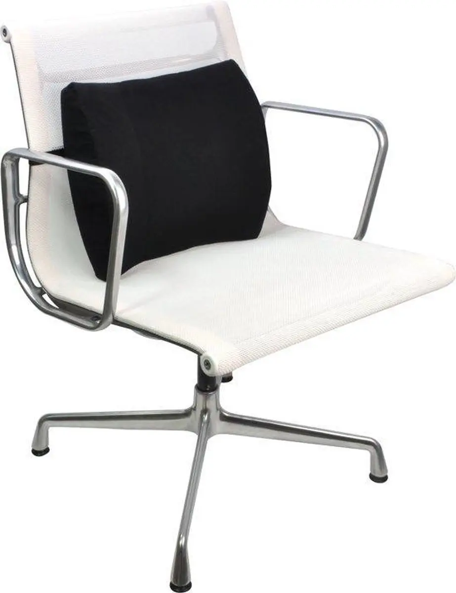 DESQ® Ergonomische rugsteun